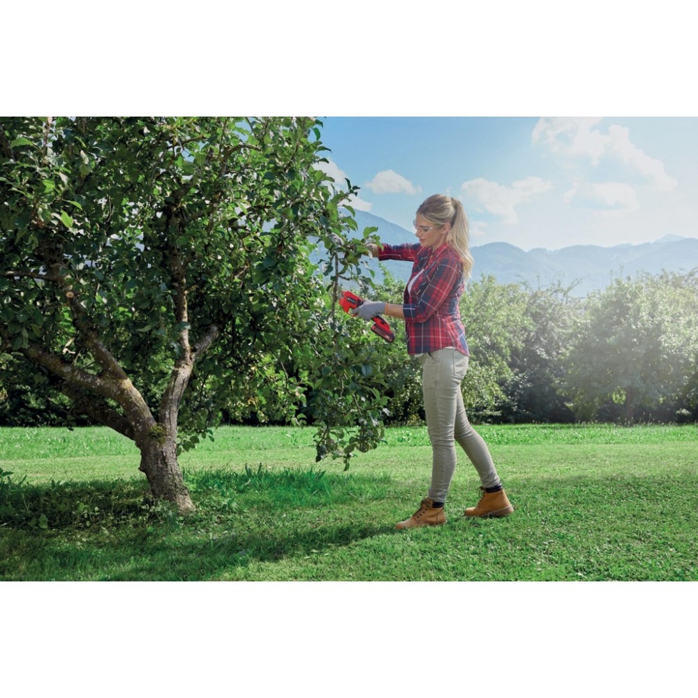 Комплект! Секатор акумуляторний GE-LS 18 Li Kit 2.5 Ah (3408300K)