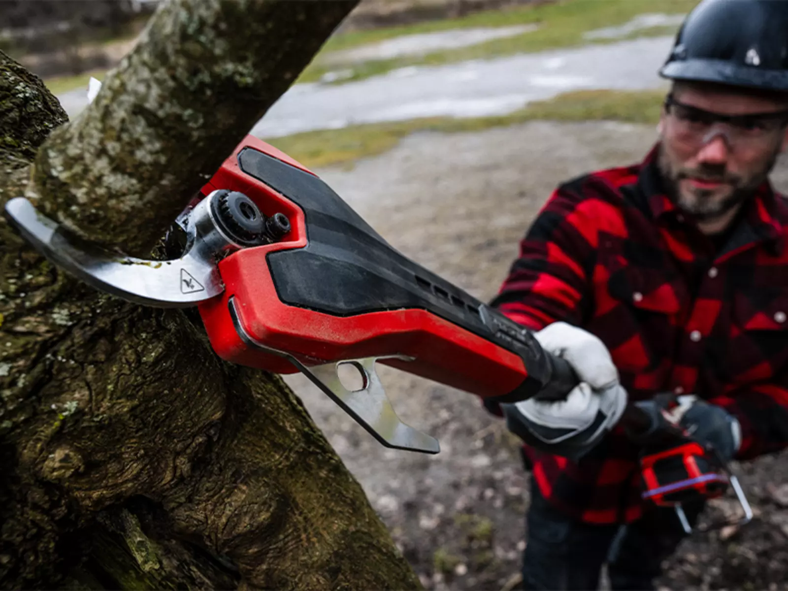 Чоловік обрізає гілку на дереві акумуляторним сучкорізом Einhell GP-LS 18/35 Li BL - Solo.