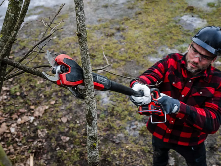 Акумуляторний сучкоріз Einhell GP-LS 18/35 Li BL - Solo з встановленим металевим гачком для обрізання гілок.